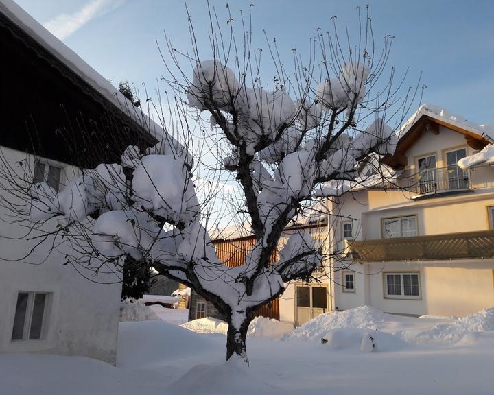 Gasthaus-Pension Gibis